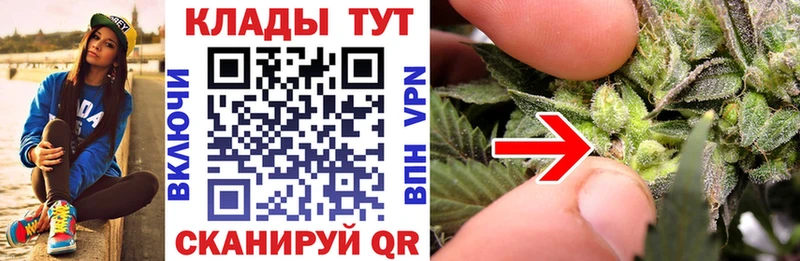 Где купить Гороховец Alpha PVP  Меф  БУТИРАТ  LSD-25  ГАШ  Псилоцибиновые грибы  Cocaine 