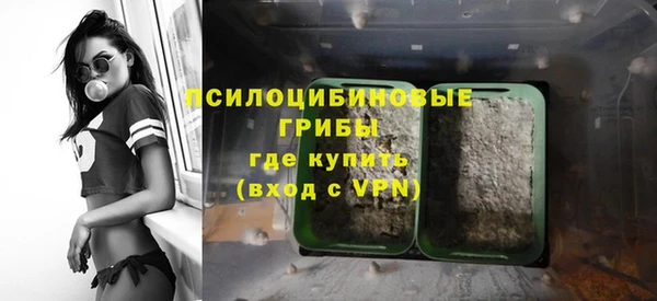 эйфоретик Аркадак